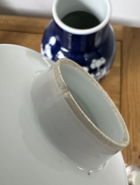 古玩陶瓷青花留白冰梅紋雞腿蓋瓶真品鑒賞圖