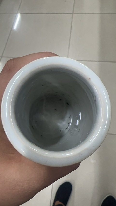 古玩陶瓷粉彩淺降人物筆筒真品鑒賞圖
