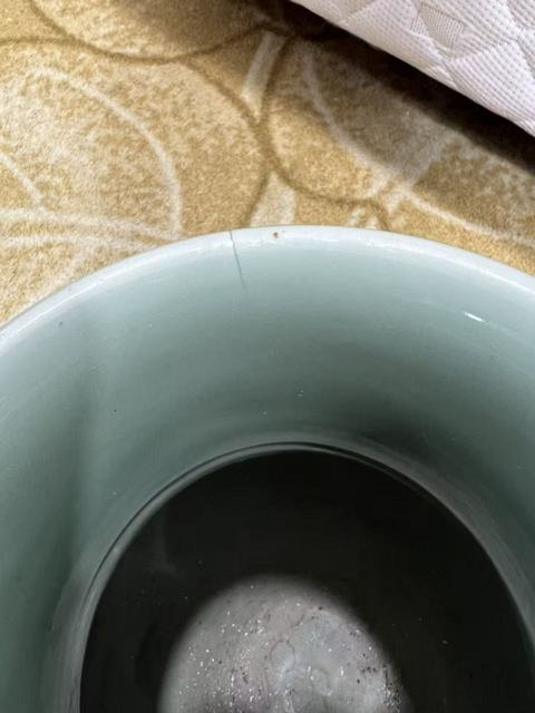 古玩陶瓷青釉罐真品鑒賞圖