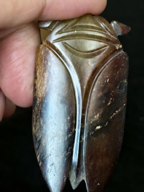 古玩玉器漢代地方玉蟬真品鑒賞圖
