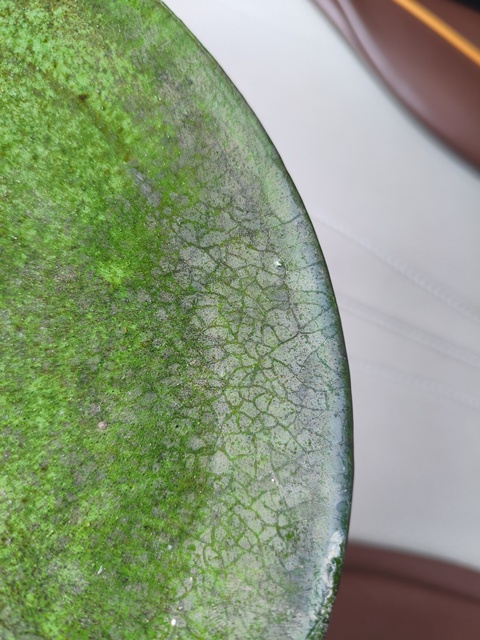 古玩陶瓷遼綠釉盤真品鑒賞圖