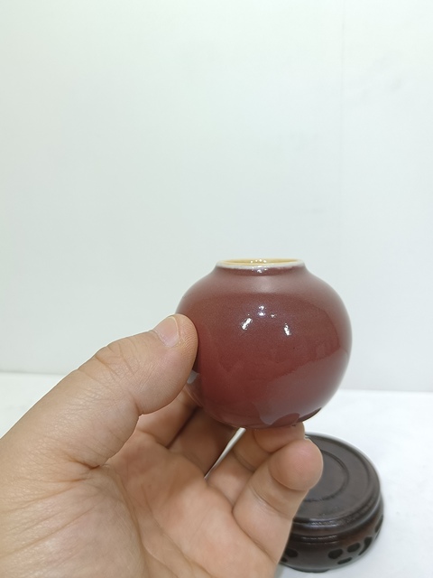 古玩陶瓷 紅釉水盂真品鑒賞圖