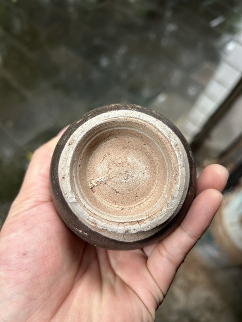 古玩陶瓷褐釉花口瓶真品鑒賞圖