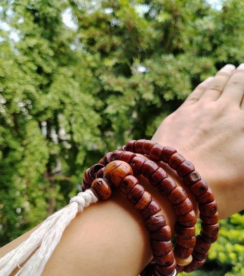 古玩雜項老鳳眼菩提真品鑒賞圖