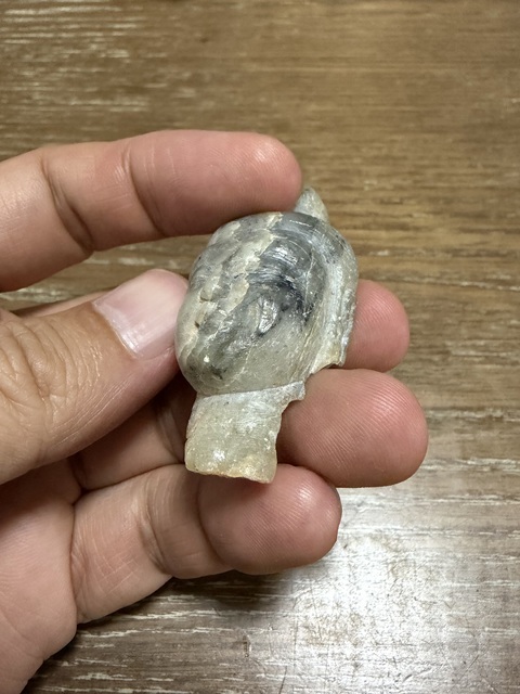 古玩雜項佛頭真品鑒賞圖