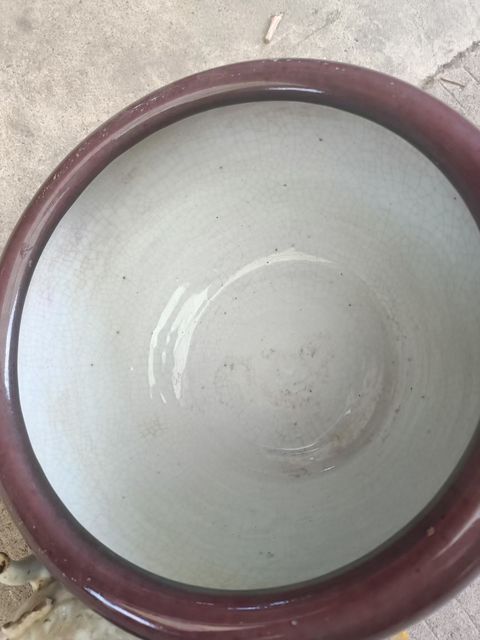 古玩陶瓷紅釉缽式香爐真品鑒賞圖