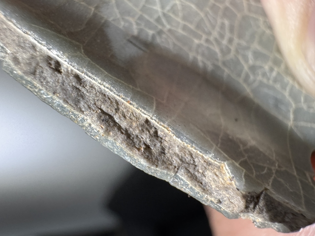 古玩陶瓷龍泉官標本真品鑒賞圖