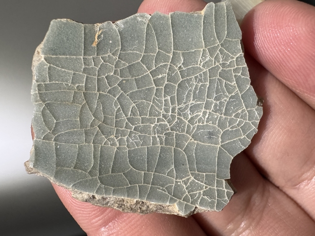 古玩陶瓷龍泉官標本真品鑒賞圖