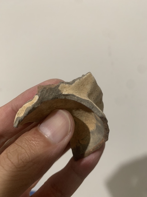 古玩陶瓷官窯標(biāo)本真品鑒賞圖