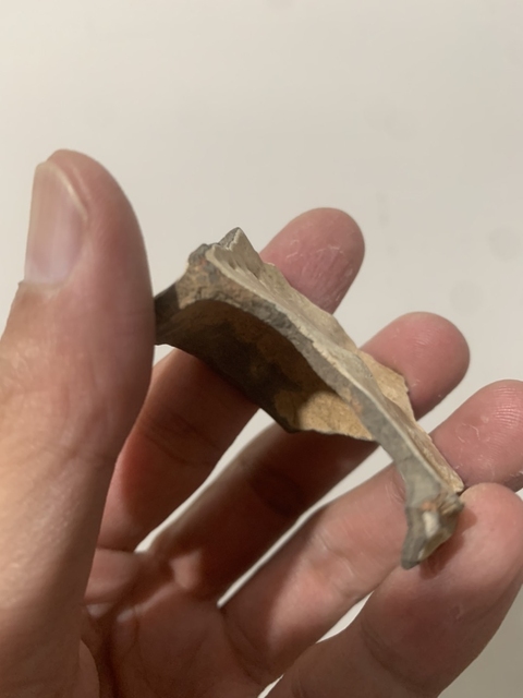 古玩陶瓷官窯標(biāo)本真品鑒賞圖