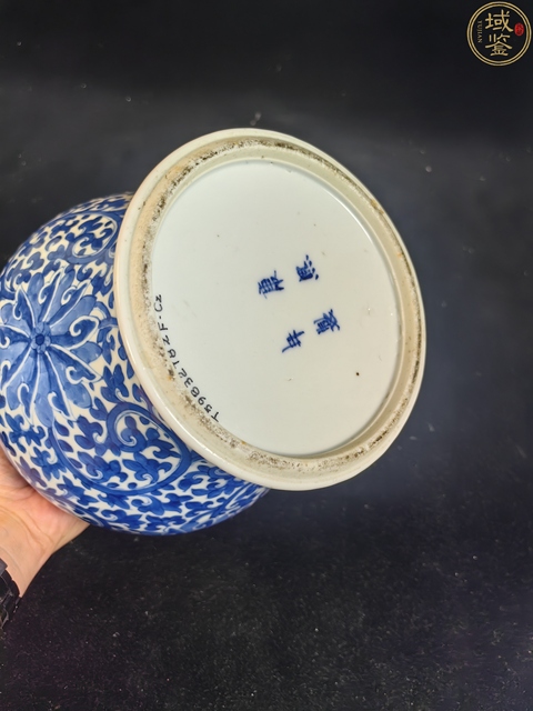 古玩陶瓷晚清青花纏枝蓮紋將軍罐真品鑒賞圖