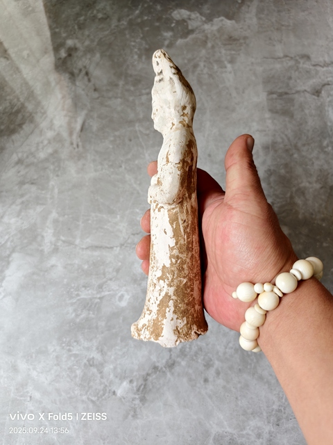 古玩陶瓷白陶侍女傭真品鑒賞圖