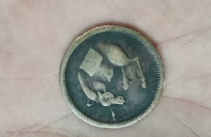 古玩錢幣德淳制贈馬蘭錢真品鑒賞圖