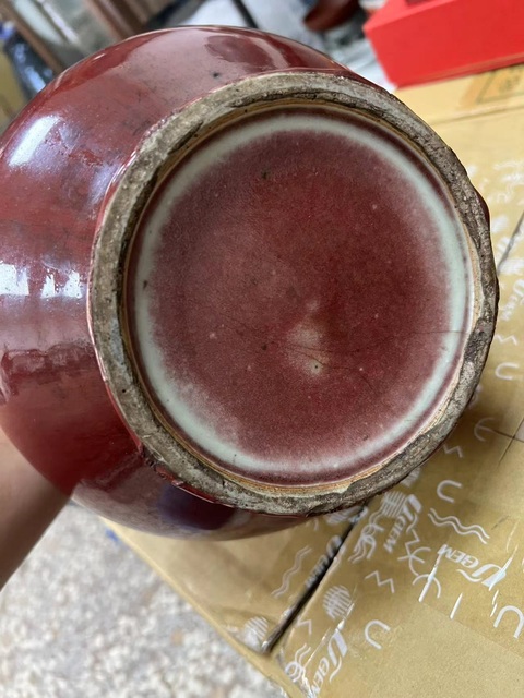 古玩陶瓷郎紅釉賞瓶真品鑒賞圖