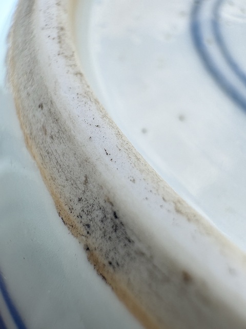 古玩陶瓷青花冰梅罐真品鑒賞圖