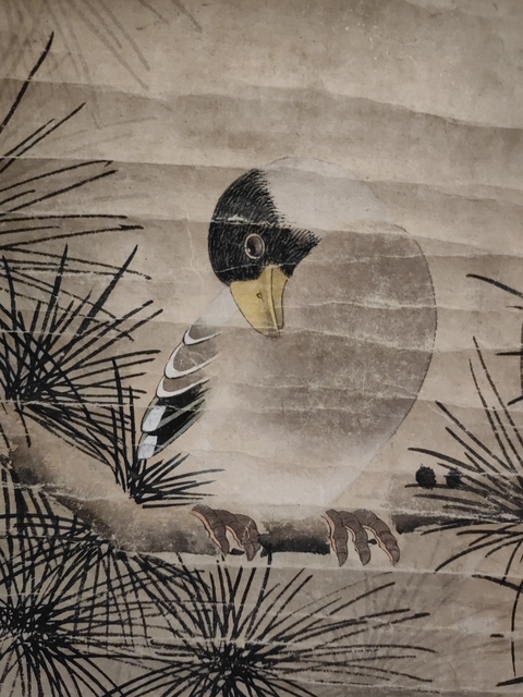 古玩字畫松鳥圖真品鑒賞圖