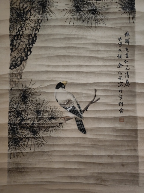 古玩字畫松鳥圖真品鑒賞圖