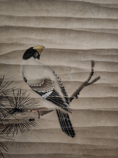 古玩字畫松鳥圖真品鑒賞圖