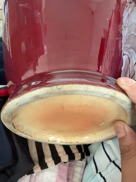 古玩陶瓷郎紅釉盤口瓶真品鑒賞圖