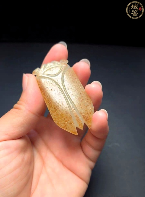 古玩玉器和田玉蟬真品鑒賞圖