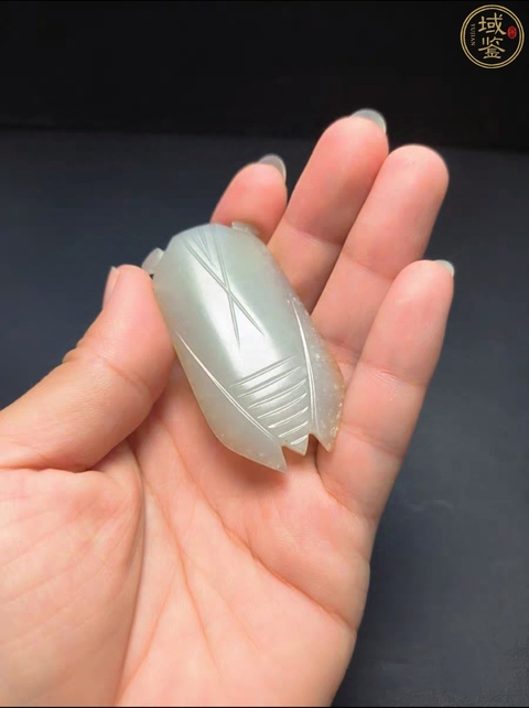古玩玉器和田玉蟬真品鑒賞圖