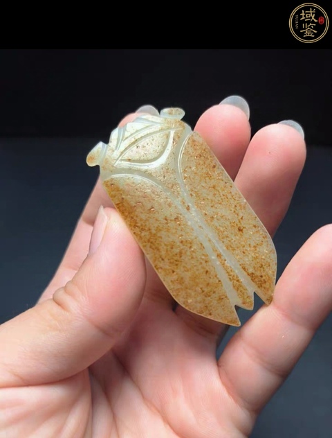 古玩玉器和田玉蟬真品鑒賞圖