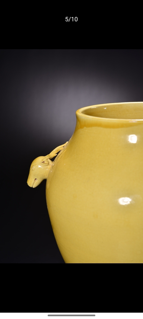 古玩陶瓷黃釉犧首尊真品鑒賞圖