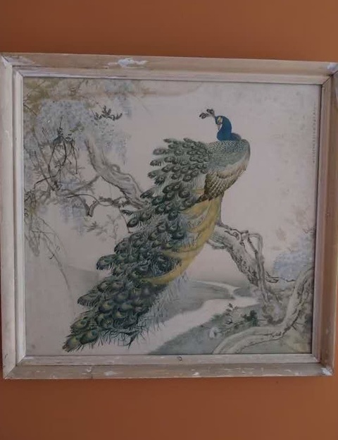 古玩字畫現代仿鄭乃珖林金秀《孔雀》真品鑒賞圖
