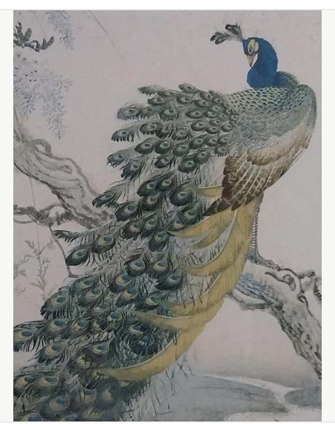 古玩字畫現代仿鄭乃珖林金秀《孔雀》真品鑒賞圖