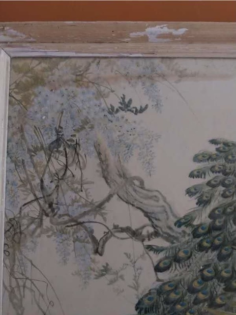 古玩字畫現代仿鄭乃珖林金秀《孔雀》真品鑒賞圖