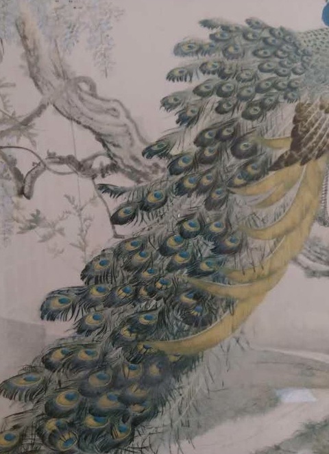 古玩字畫現代仿鄭乃珖林金秀《孔雀》真品鑒賞圖