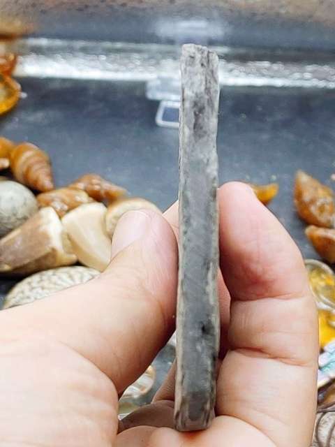 古玩雜項化石真品鑒賞圖