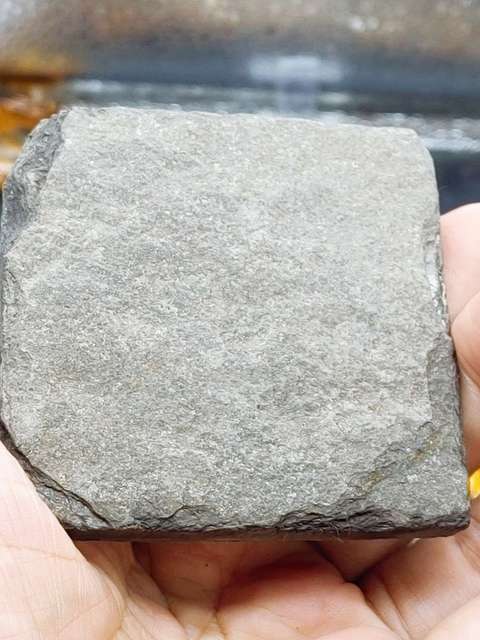 古玩雜項化石真品鑒賞圖