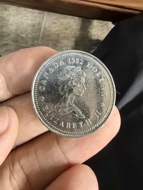 古玩錢幣加拿大低銀紀念幣真品鑒賞圖