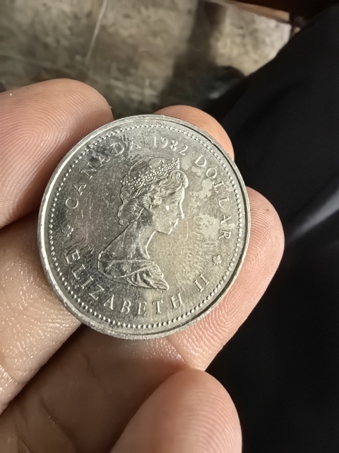 古玩錢幣加拿大低銀紀念幣真品鑒賞圖