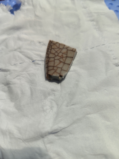 古玩陶瓷哥釉瓷片真品鑒賞圖