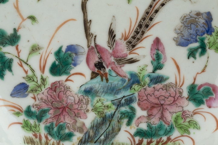 古玩陶瓷清同治·粉彩錦雞牡丹紋花口盤真品鑒賞圖
