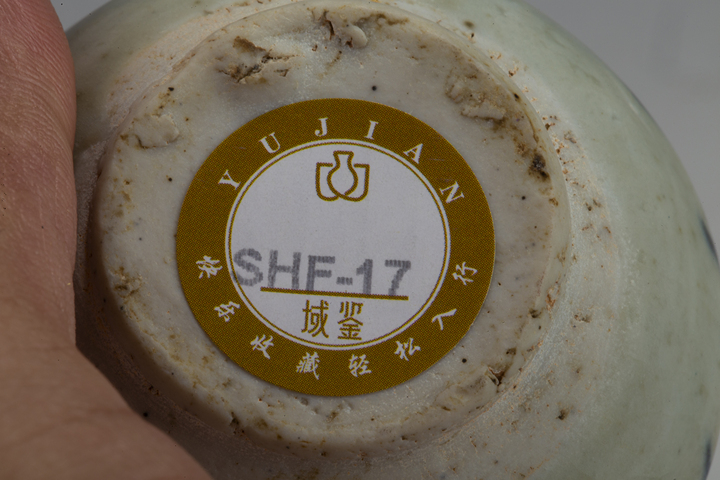 古玩陶瓷元·青花花卉紋雙系罐
真品鑒賞圖