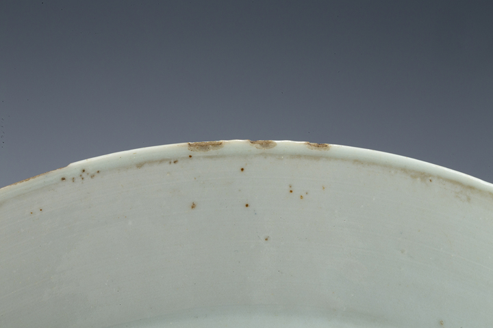 古玩陶瓷清中·青花花鳥紋折沿盤真品鑒賞圖