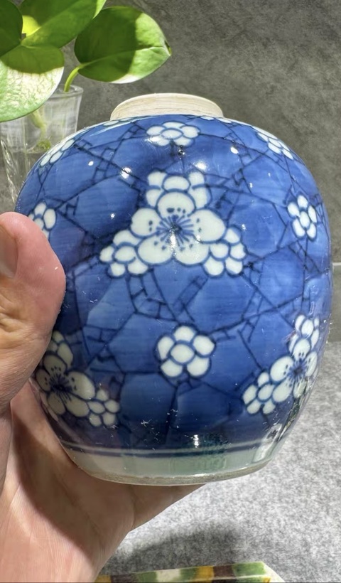 古玩陶瓷康熙青花冰梅罐真品鑒賞圖