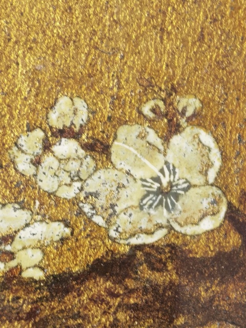 古玩字畫佚名金箋工筆團扇臘梅圖真品鑒賞圖