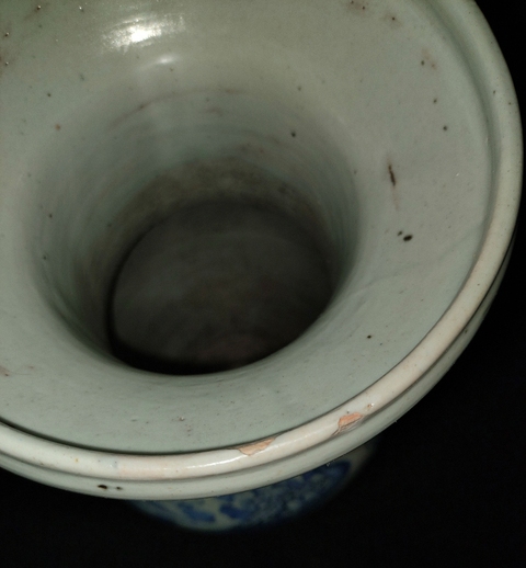 古玩陶瓷青花花鳥紋雙耳瓶真品鑒賞圖