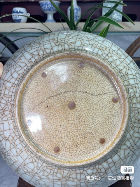 古玩陶瓷哥釉開片紋臥盤真品鑒賞圖