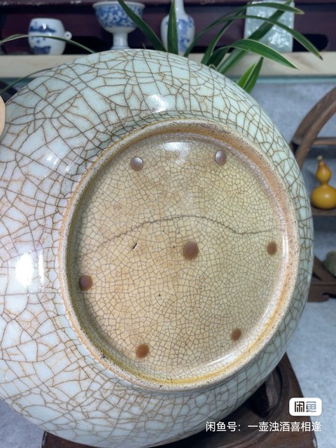 古玩陶瓷哥釉開片紋臥盤真品鑒賞圖