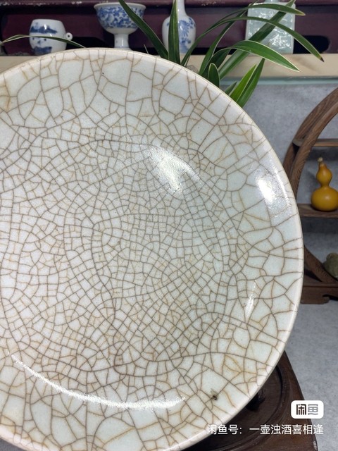 古玩陶瓷哥釉開片紋臥盤真品鑒賞圖