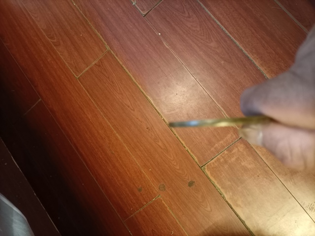 古玩錢幣咸豐重寶蘇五十真品鑒賞圖