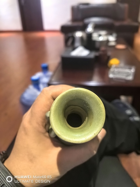 古玩陶瓷龍泉青瓷雙耳銜環(huán)瓶真品鑒賞圖