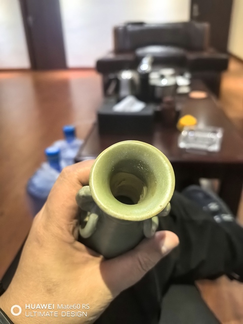 古玩陶瓷龍泉青瓷雙耳銜環(huán)瓶真品鑒賞圖