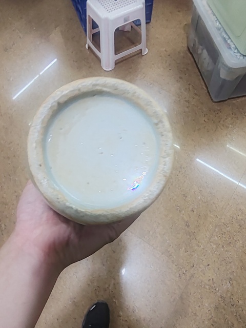 古玩陶瓷豆青釉青花牡丹紋獅耳盤口瓶真品鑒賞圖