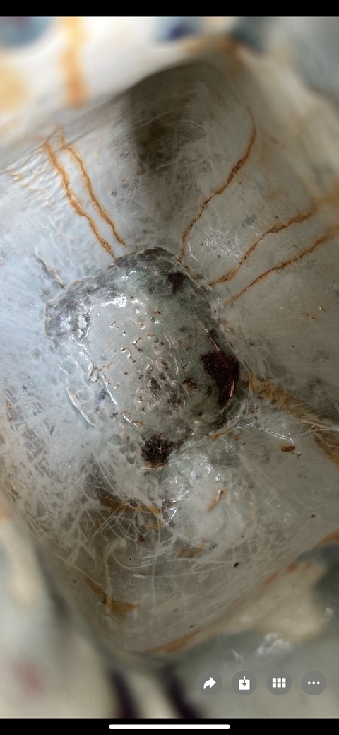 古玩陶瓷清光緒 杏園貫耳尊真品鑒賞圖